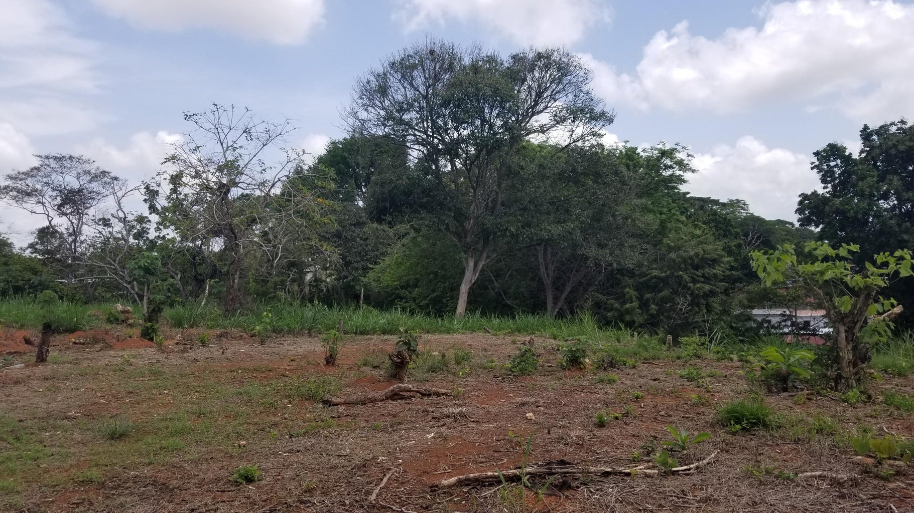 Commercial Property for Sale in La Chorrera Panamá Province
